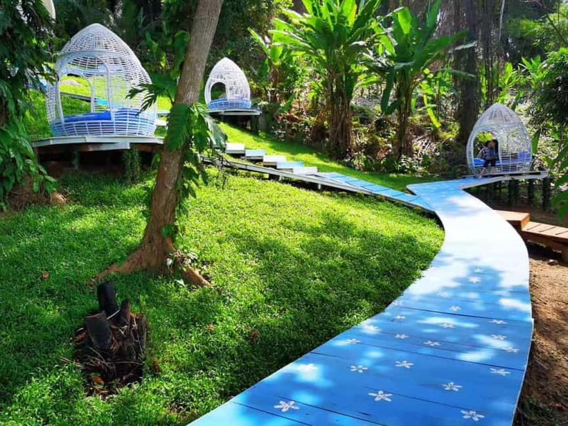 Phuket: Rock Beach Swing Entry Ticket - Bird’s Nests and Photo Spots That Reward Wandering