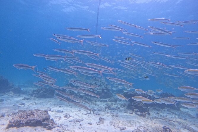 Phuket: Scuba Dive Racha and Coral Islands with Snorkeling Tour - Choosing your water option on Racha Island