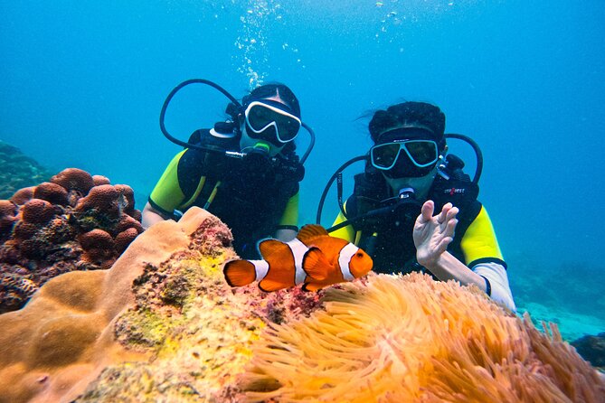 Phuket Scuba Diving: Racha Island Or Maiton Island For All Levels - Key points worth knowing before you go