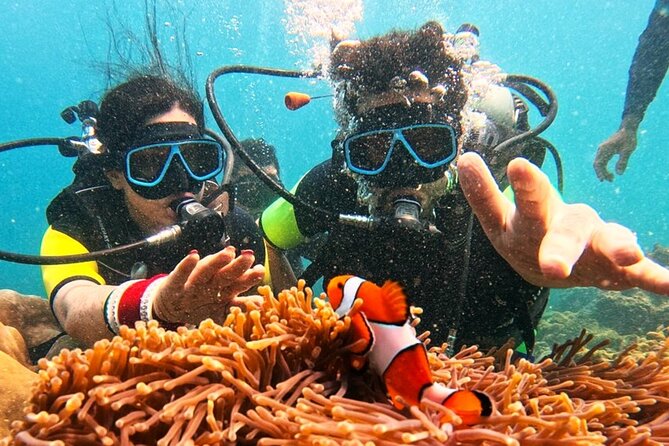 Phuket Scuba Diving: Racha Island Or Maiton Island For All Levels - Choosing your package: Try, Discover, Fun, or Review