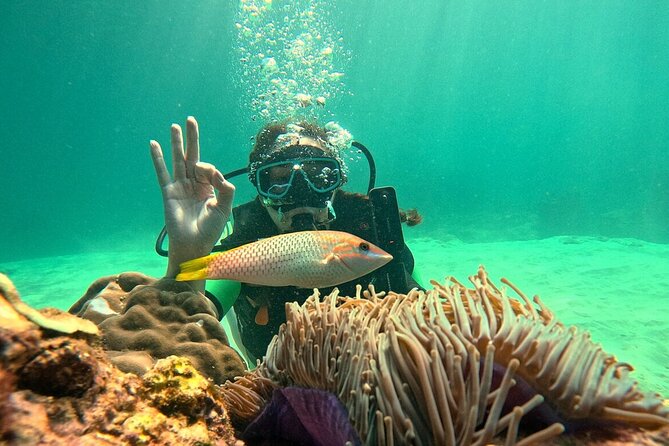 Phuket Scuba Diving: Racha Island Or Maiton Island For All Levels - Coral Island stop: extra time on the water