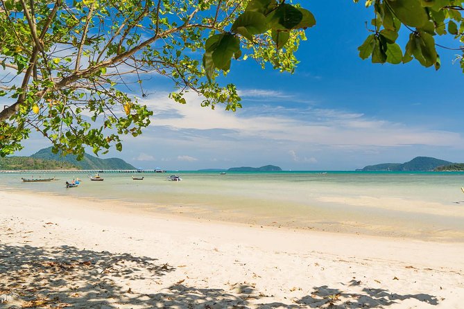 Phuket Shore Excursion - Private City Tour for Cruise Arrival (SHA Plus) - Price and value: when private tour math actually makes sense
