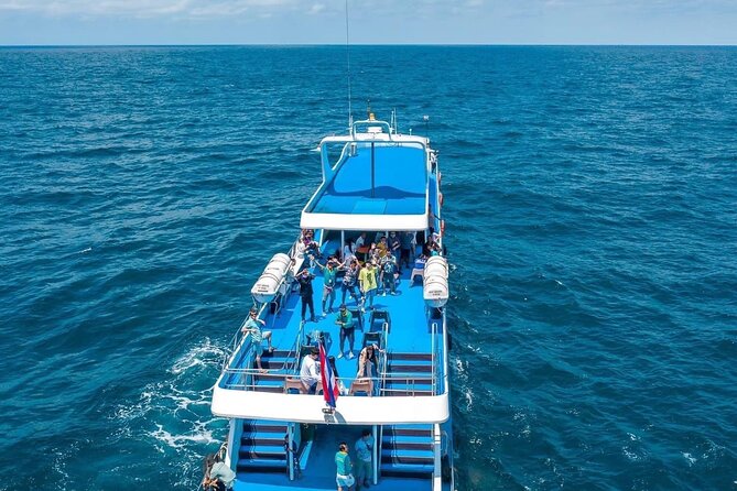 Phuket To Phi Phi Island By Phi Phi Cruiser - Include Pickup Transfer - Why the Phi Phi Cruiser transfer is worth considering from Phuket