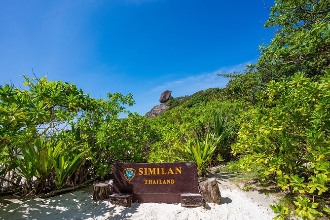 Phuket to Similan Islands Snorkeling Tour - 6:00 am Pickup: How the day starts (and why it matters)