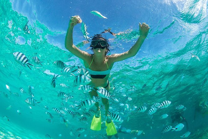 Phuket Two Islands Trip to Coral & Raya Island by Speed Boat - Speedboat Day Trip From Chalong Pier: The big value