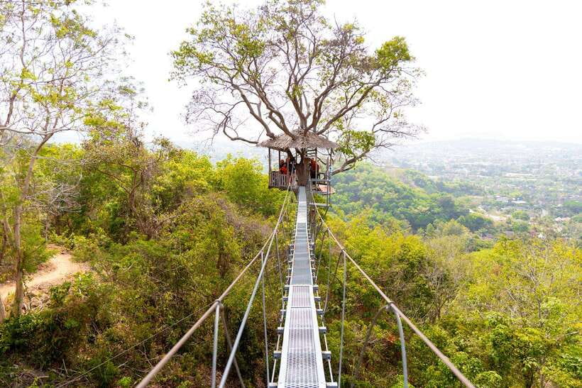 Phuket: Zipline Flying Higher than a Hawk with ATV Option - The ATV Add-On: Trading Flying for Rugged Jungle Trails