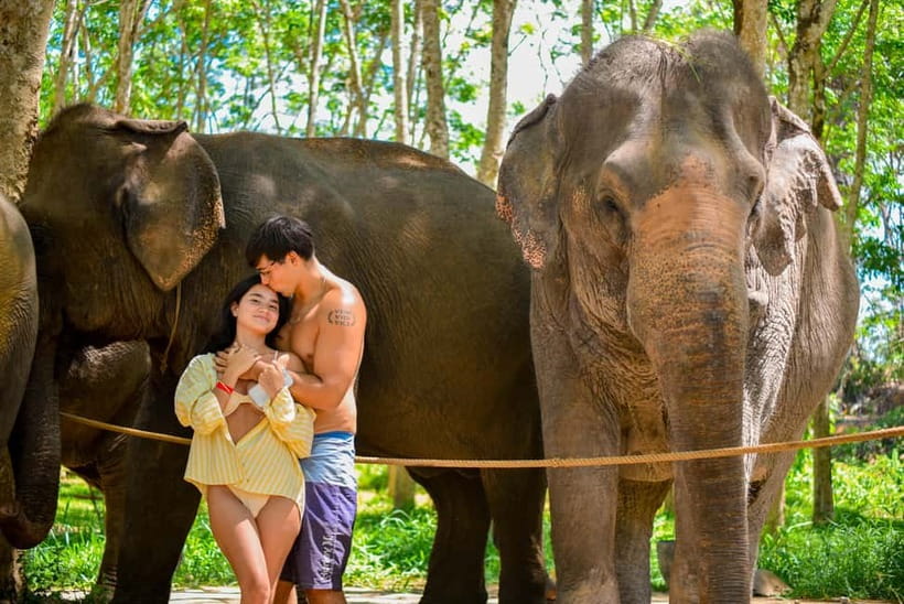 Phuket:Beach walk with elephants, rain & care. 2.5 hours - Key points to know before you go