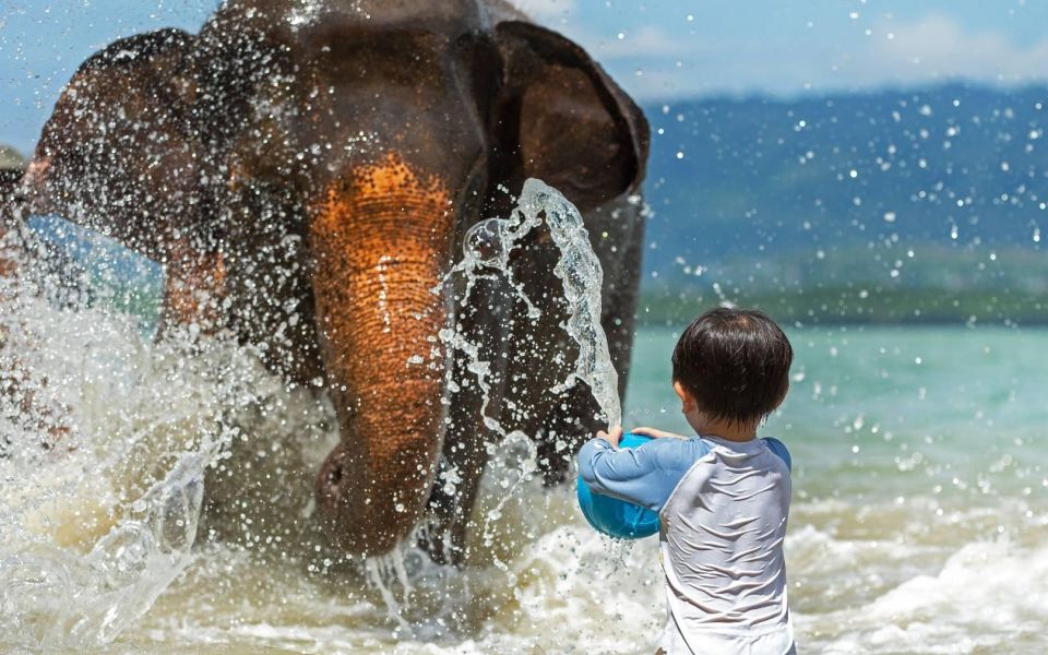 Phuket:Beach walk with elephants, rain & care. 2.5 hours - Facilities and comfort: coffee, clean showers, and what you’ll need