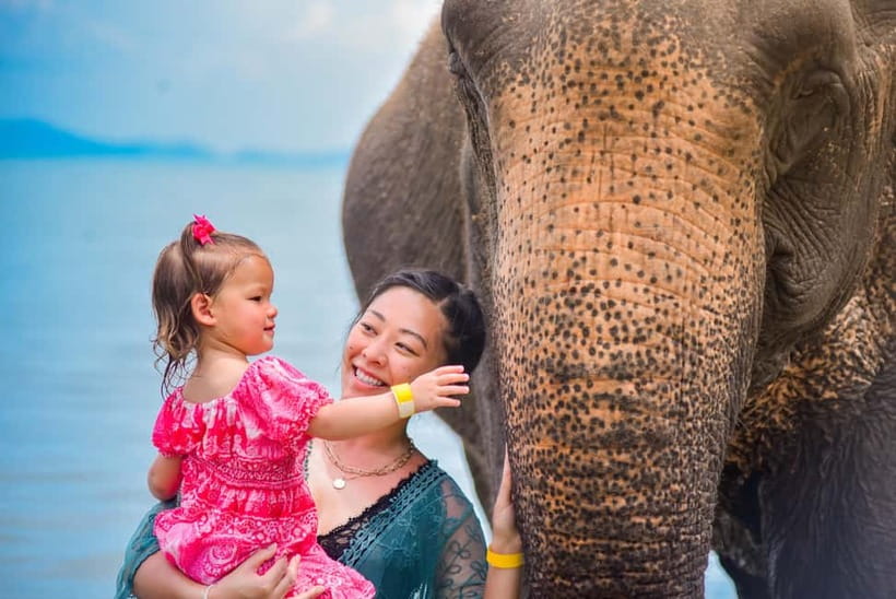Phuket:Beach walk with elephants, rain & care. 2.5 hours - Phuket elephant ethics, with real beach time