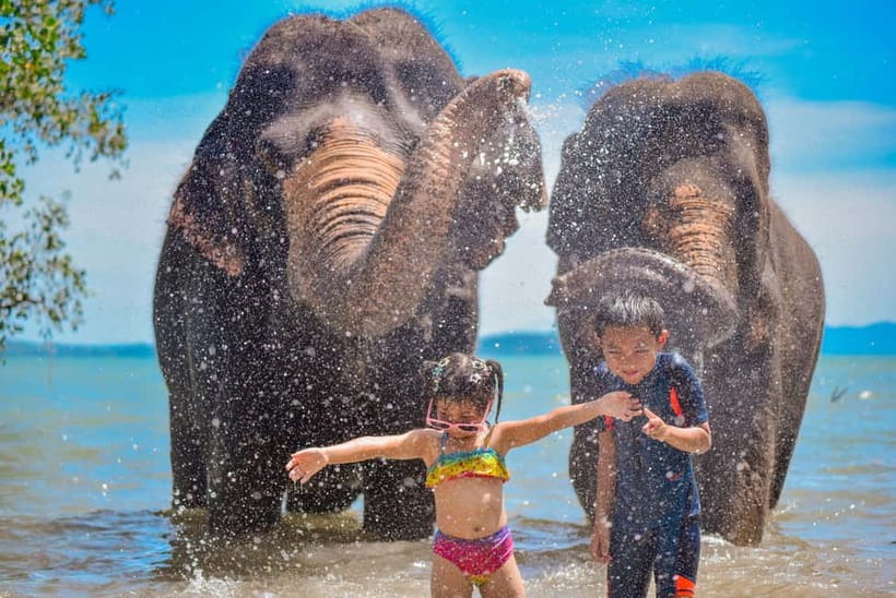 Phuket:Beach walk with elephants, rain & care. 2.5 hours - Stop 1: arriving at Lily Elephant Camp in Phuket