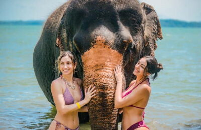 Phuket:Beach walk with elephants, rain & care. 2.5 hours - The 150-minute rhythm: walk, sea shower, and elephant “spa” care