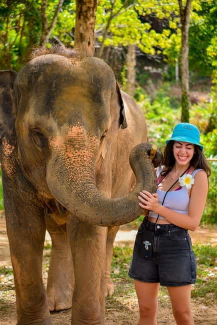 Phuket:Beach walk with elephants, rain & care. 2.5 hours - Stop 2: wildlife viewing and the short jungle walk