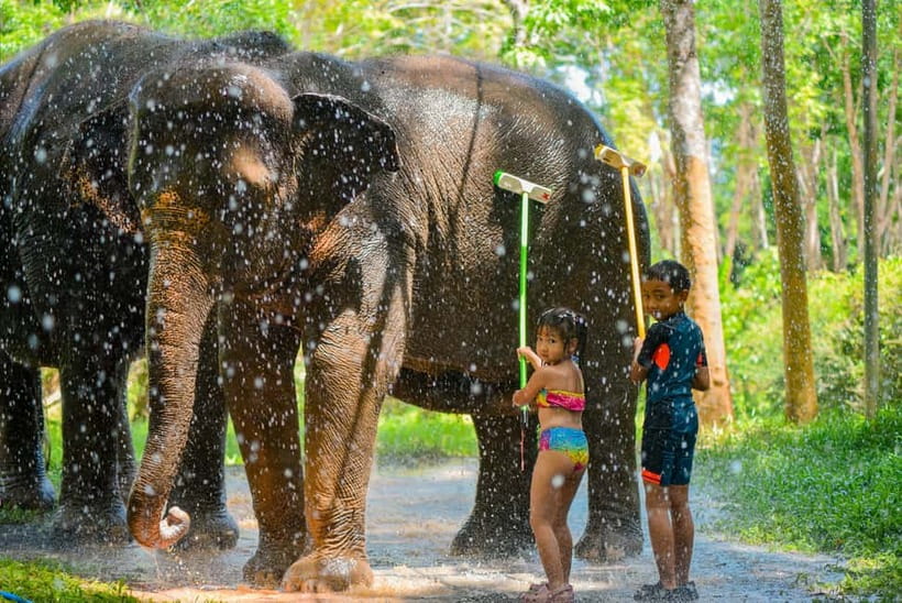 Phuket:Beach walk with elephants, rain & care. 2.5 hours - Stop 3: feeding and making natural supplement food