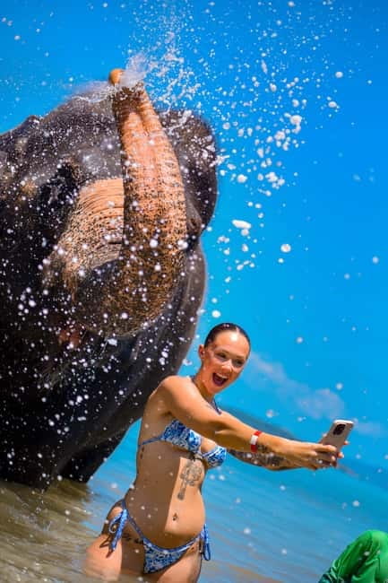 Phuket:Beach walk with elephants, rain & care. 2.5 hours - Stop 5: showering, brushing, and “friendship time”