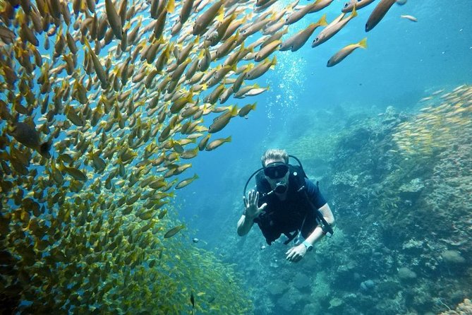 Premium Guided Scuba Diving Day Trip for Certified Divers - What’s included on board (and what you’ll need to sort out)