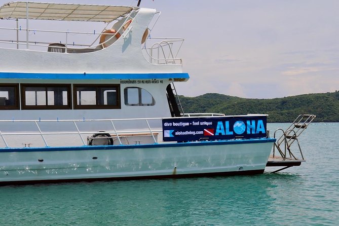 Premium Guided Scuba Diving Day Trip for Certified Divers - The boat and crew vibe: why the small group feels like a VIP day
