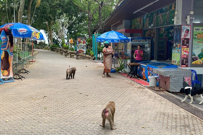 Private local city tour with english speaking driver - Wat Chalong (Chaithararam Temple): The Temple Stop That Feels Like Culture, Not a Checklist