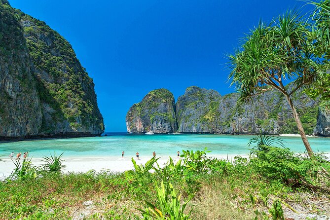 Private Phi Phi Islands & Bamboo Full Day Tour with snorkeling - Pileh Bay: the swim-and-jump style break that makes the morning feel real