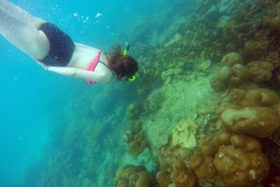Private Speedboat Maiton, Racha, and Coral Islands Tour from Phuket - Royal Phuket Marina Check-In: Start Smooth, Leave On Time