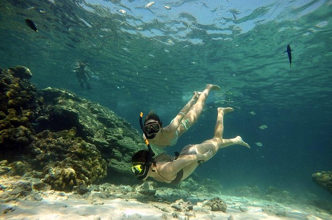 Private Speedboat Maiton, Racha, and Coral Islands Tour from Phuket - What’s Included (and What You’ll Need to Add): Food, Drinks, and Comfort