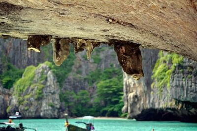 Private Tour Phi Phi Early Bird Premium Tour by Speed Boat - Price and value: what $1,283.79 per group really means