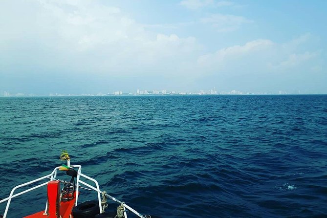 Racha & Coral Island Day Trip by Speedboat - Lunch Included - Lunch, included gear, and what to bring so the day runs easy