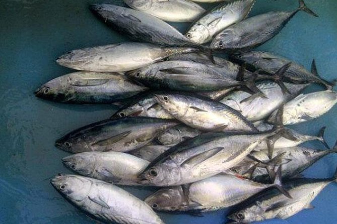 Racha Island Game Fishing & Trolling From Phuket - Who This Tour Fits Best (And Who Should Skip It)