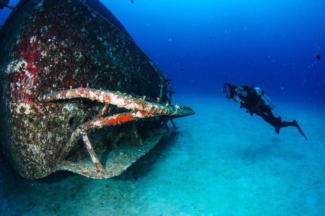 Racha Noi and Racha Yai Dive Trip from Phuket - H2: Koh Racha Yai Timing and What You Can Expect Seeing