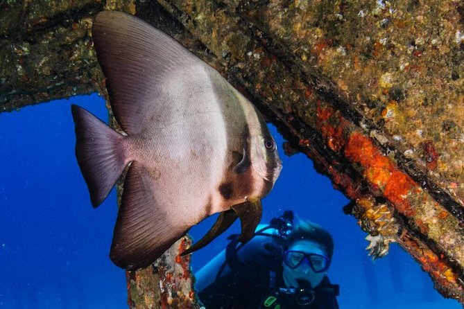 Racha Noi and Racha Yai Dive Trip from Phuket - H2: Koh Racha Noi’s Two Morning Sessions and the Calm-First Plan