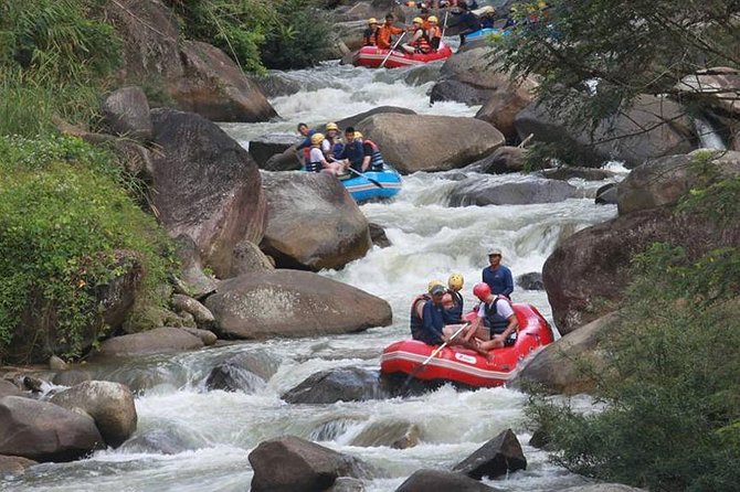 Rafting 5 km, ATV 30 Mins, Fly Fox and Jungle Tour From Phuket - Key Points (Read This Before You Go)