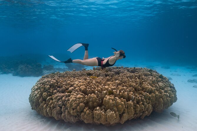 Raya Island / Mai Ton Island Private Boat Tour - Private boat snorkeling in Phuket’s Raya (Racha) Islands