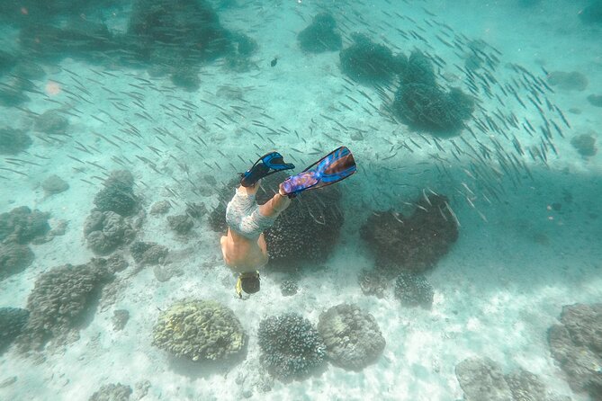 Raya Island / Mai Ton Island Private Boat Tour - Koh Racha Yai and Siam Bay: crystal water and a white-sand break