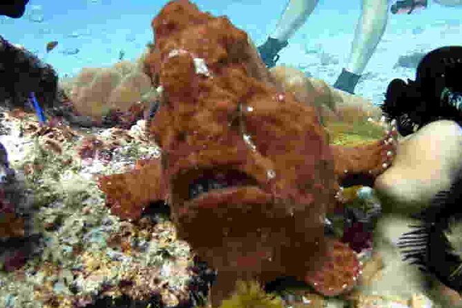 Refresher scuba diving trip, 3 dives at Racha Noi and Racha Yai - Meals and snacks: the underrated part of a full day at sea