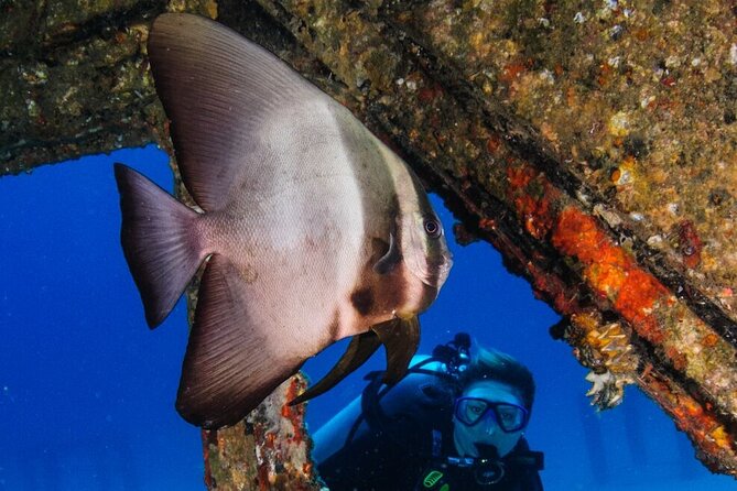 Refresher scuba diving trip, 3 dives at Racha Noi and Racha Yai - Pickup, timing, and why the day runs like a well-oiled routine