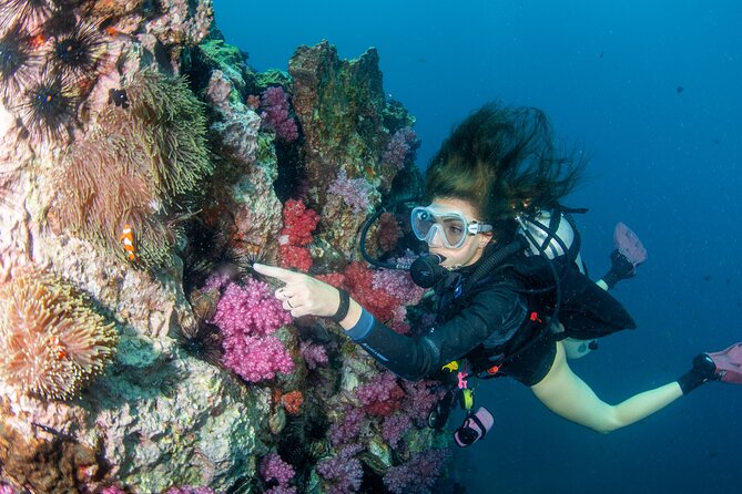 Scuba Diving Daytrip to Racha Yai - Phuket Pickup To Sea Bees Chalong: Getting Started Without Hassle