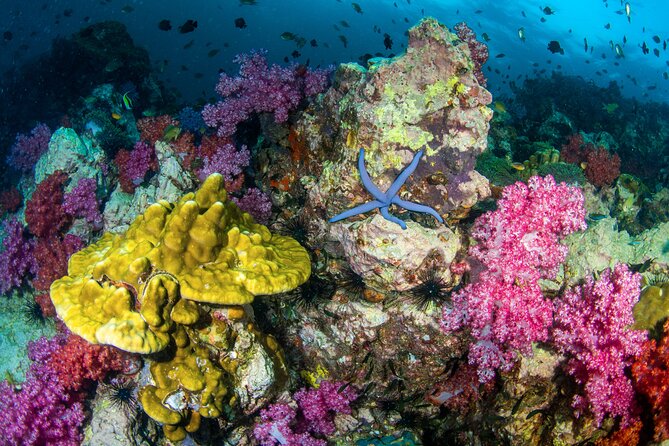 Scuba Diving Daytrip to Racha Yai - The Second Session: Why Two Water Sessions Are Better Than One