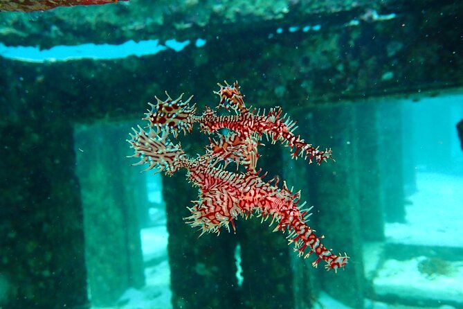 Scuba Diving Daytrip to Racha Yai - Boat Comfort Details That Actually Matter