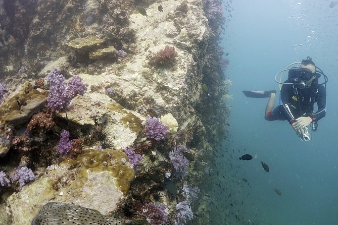 Scuba Diving in Phuket – Full-Day Trip (3 Dives, All Included) - Breakfast, gear fitting, and getting your scuba setup right