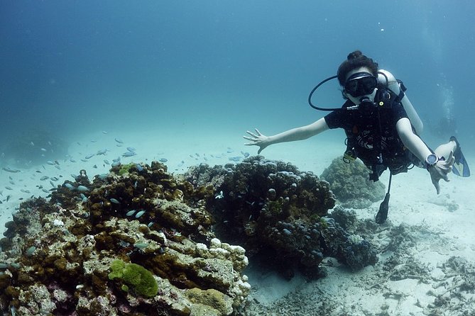 Scuba Diving in Phuket – Full-Day Trip (3 Dives, All Included) - Second and third stops: Phi Phi Island and the possibility of a wreck