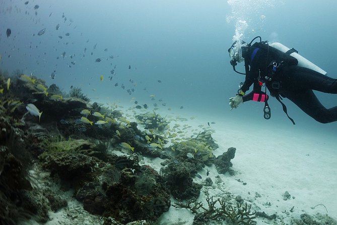 Scuba Diving in Phuket – Full-Day Trip (3 Dives, All Included) - Boat comfort and small-group feel (without the chaos)
