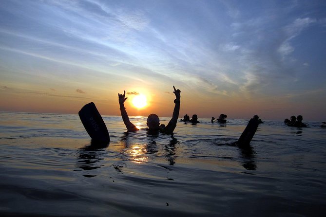 Scuba Diving Kata Beach Night Dive for Certified Divers - Who This Phuket Night Session Is Really For