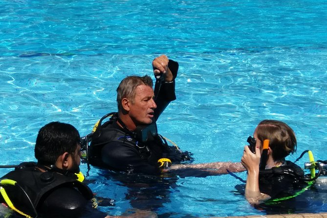 Scuba diving Pool lesson for beginners (1 hour ) - Price and value: is $39 a fair deal?