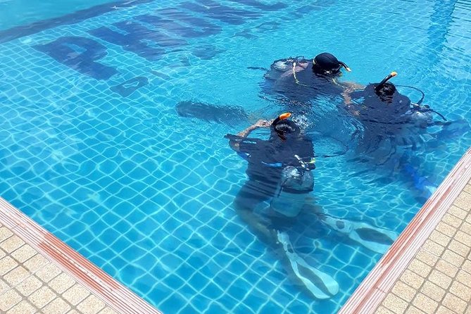 Scuba diving Pool lesson for beginners (1 hour ) - Where you meet and how the timing usually works