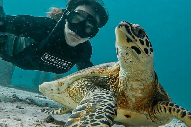 Similan Islands Private Tour - Private Boat Day Trip: What You’re Really Paying For