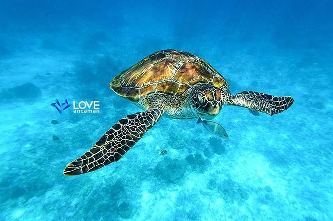 Similan Islands Snorkeling Day Trip By Love Andaman From Phuket - Island-Hopping Stops: Ko Miang, Ko Pa Yu, And Koh 9