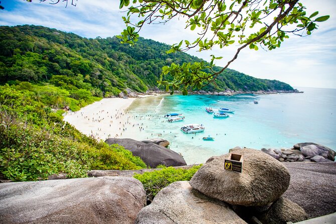 Similan Islands Snorkeling Tour By Seastar Andaman From Phuket - The lunch and snacks matter more than you think