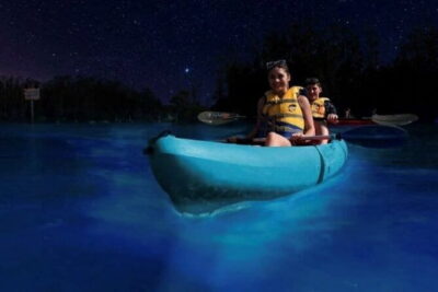 Small Group Bioluminescent Canoe&Twilight Adventure Phang Nga Bay - Price and Value: What You’re Really Paying For