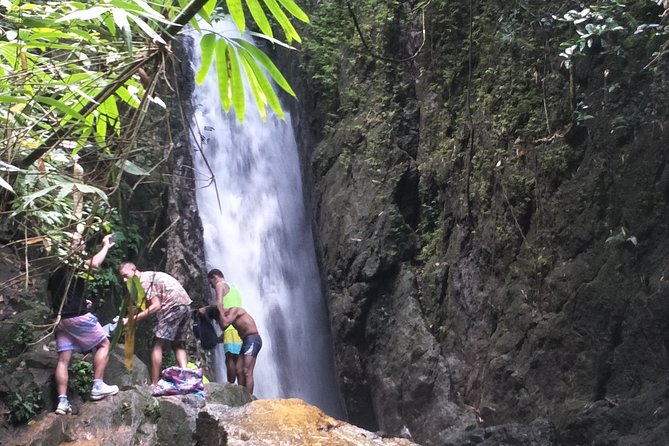 Small-Group Jungle Hiking Excursion in Khao Phra Teaw Park - Key Things You’ll Notice on This Khao Phra Teaw Jungle Hike