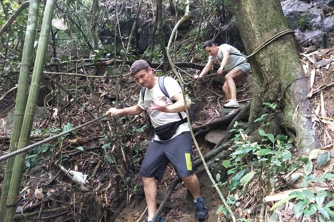Small-Group Jungle Hiking Excursion in Khao Phra Teaw Park - The 9:00 Start and the 6-Hour Rhythm (So You Don’t Lose the Day)