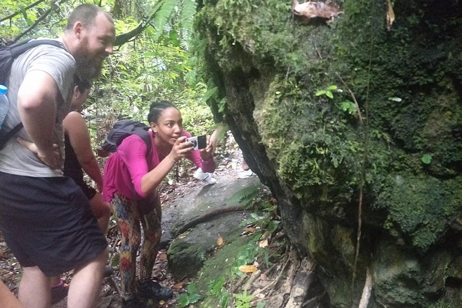 Small-Group Jungle Hiking Excursion in Khao Phra Teaw Park - The National Park Walk: Bamboo, Liana Walls, and Learning What Matters